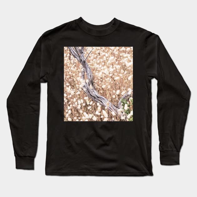 Grasses, dead wood Long Sleeve T-Shirt by geoffshoults